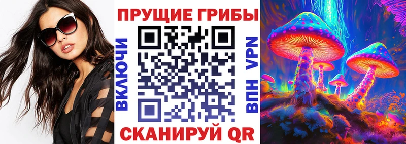 Галлюциногенные грибы мицелий  Дорогобуж 